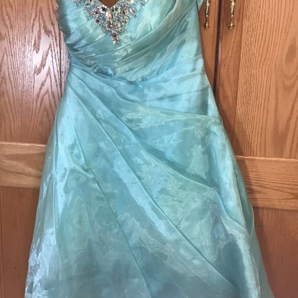 Prom Dress - Picture 3 of 4